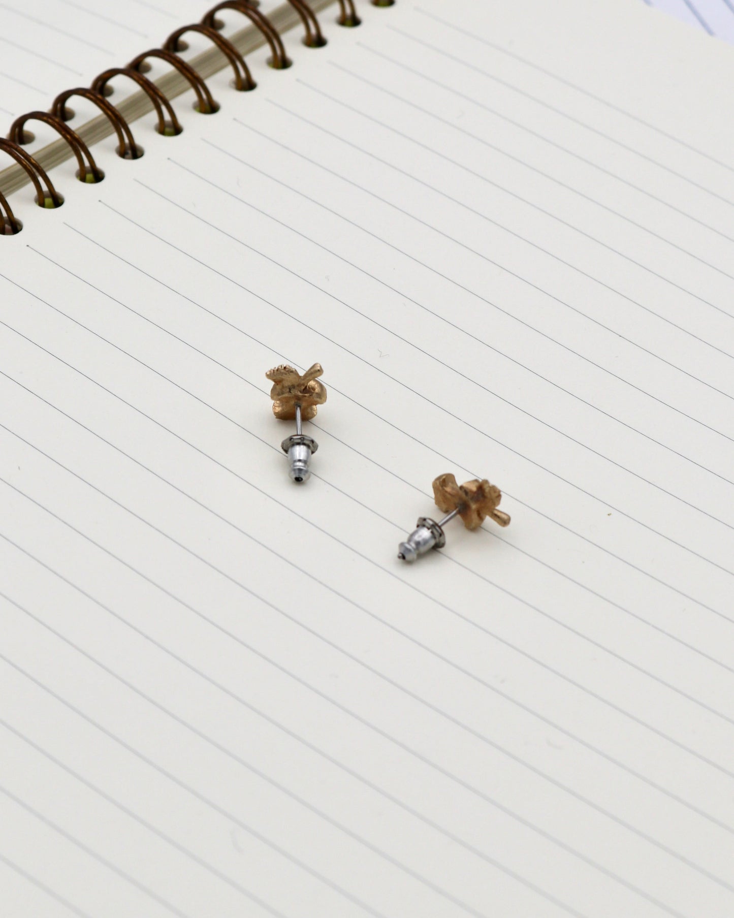 Deadstock Apple Core Earrings Gold | Subject Matter