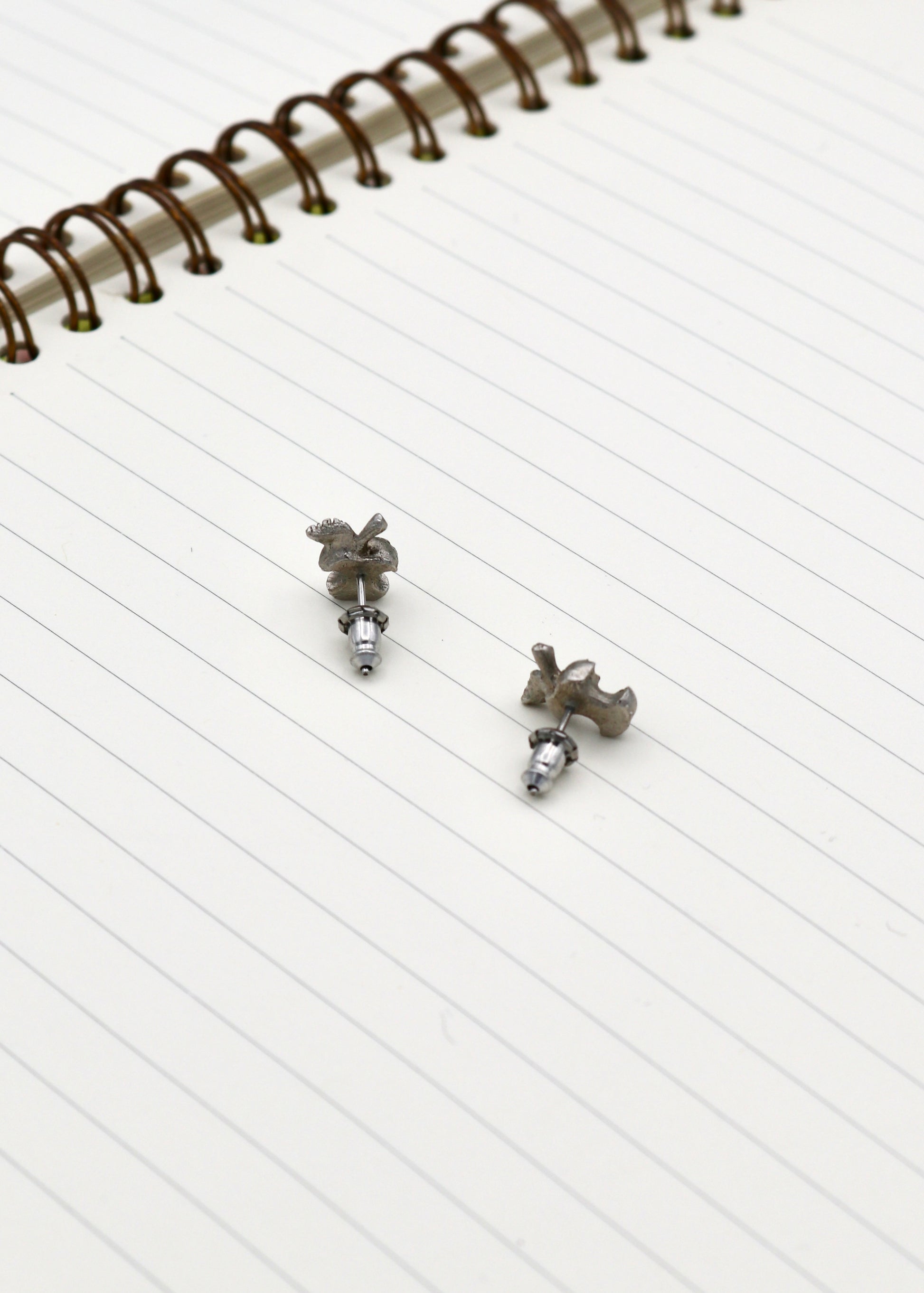Deadstock Apple Core Earrings | Subject Matter