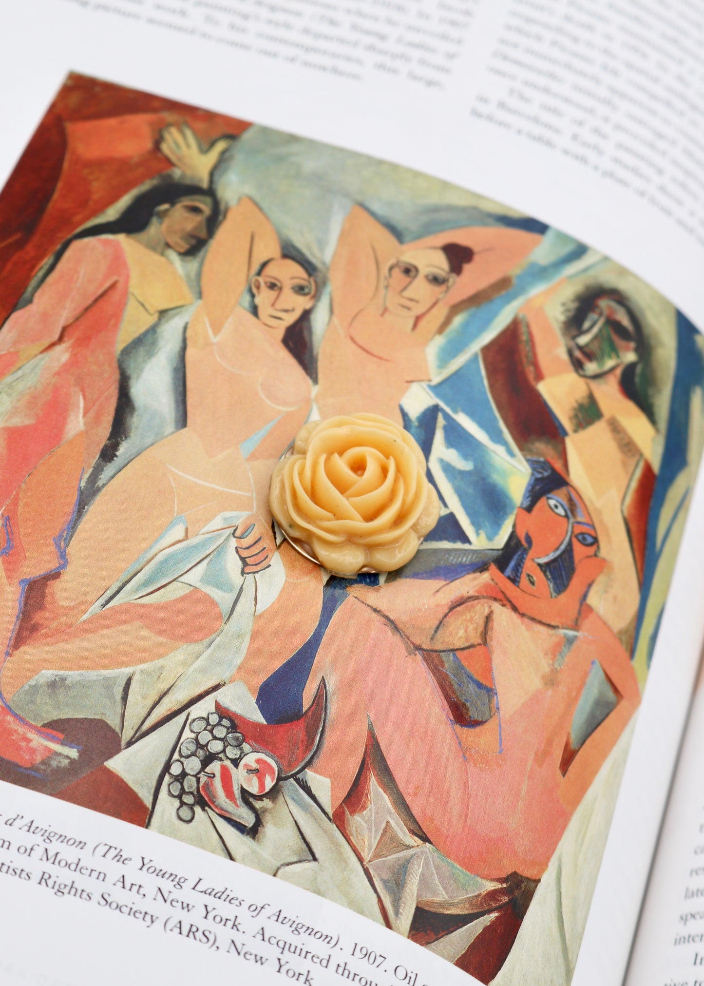 Rose Brooch | Subject Matter